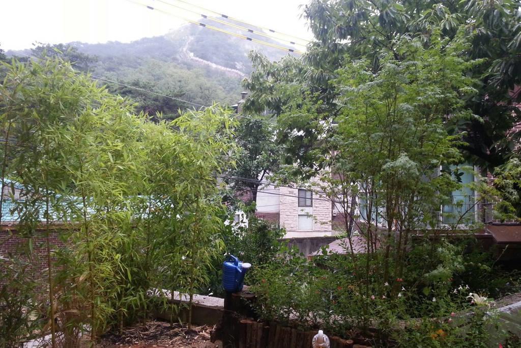 Guesthouse The Kims Сеул Номер фото